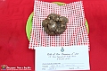 VBS_4287 - Fiera Nazionale del Tartufo Bianco 2024